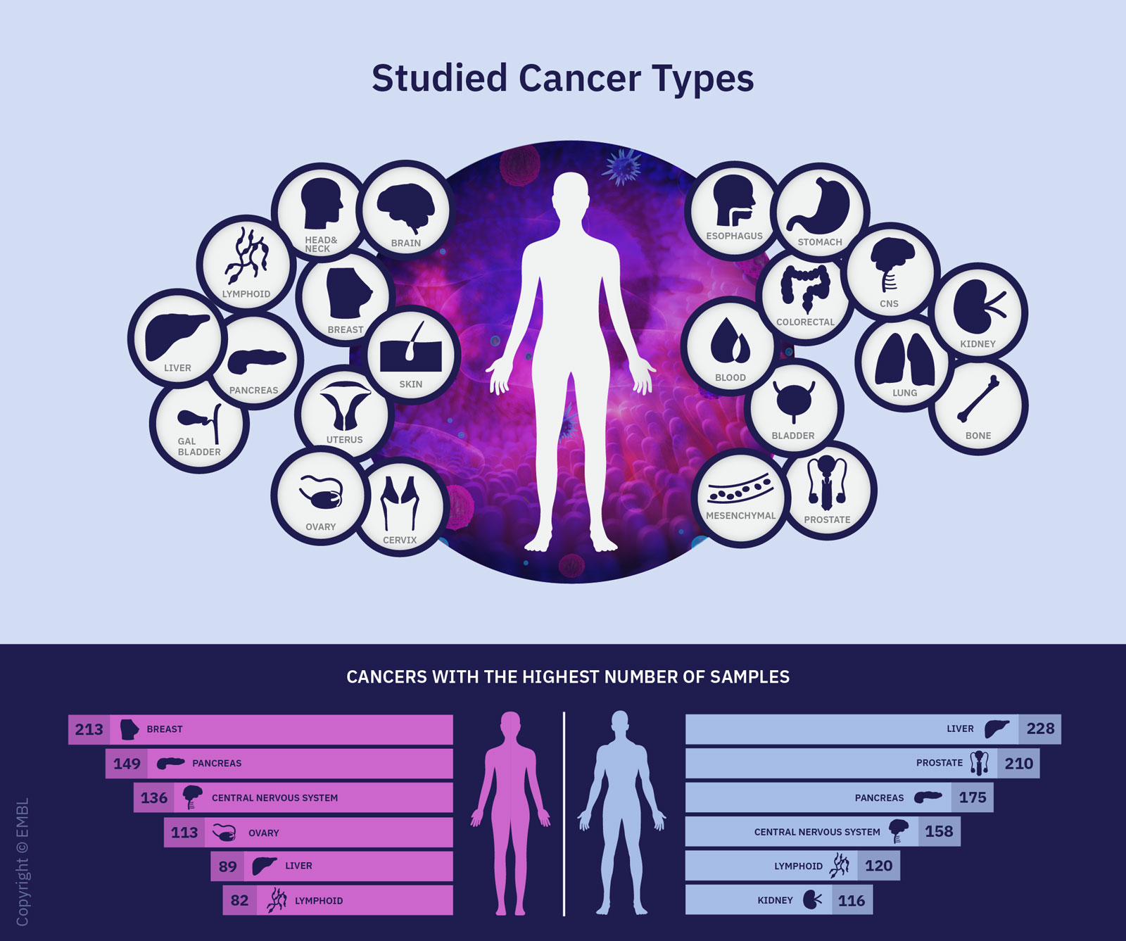 An overview of the different cancer types studied in the Pan-Cancer Project. The lower part also lists the six cancer types (for men and women) for which the most samples were available. (Graphics: Rayne Zaayman-Gallant/EMBL)