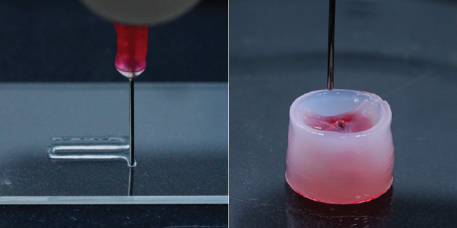 The new carrier ink can be used to produce personalized implants such as heart valves. (Photograph: Guzzi, et al. 2020)