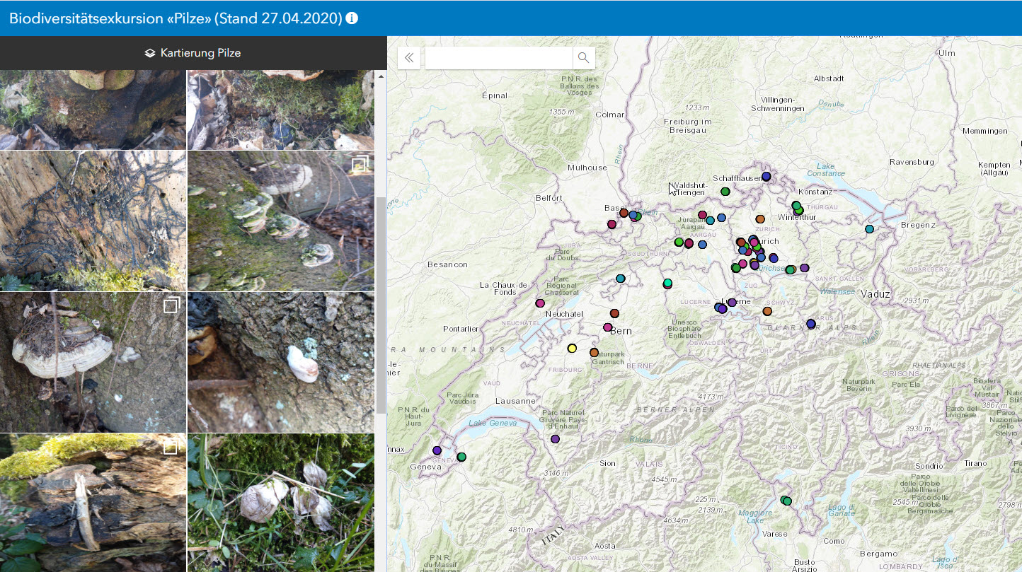 Screenshot einer Anwendung, mit Schweizerkarte und Bildern von Pilzen