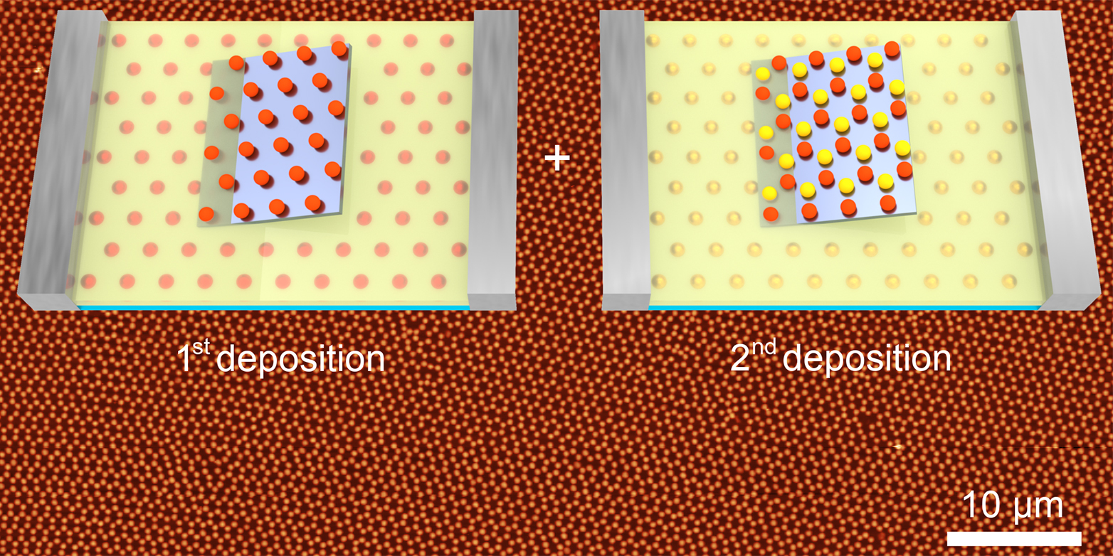 The two-step method: first, a hexagonal self-organized structure of microspheres (red) is deposited on a silicon substrate. In the second round, additional spheres (yellow) lead to the formation of a more complex structure (background).