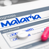 malaria prevention
