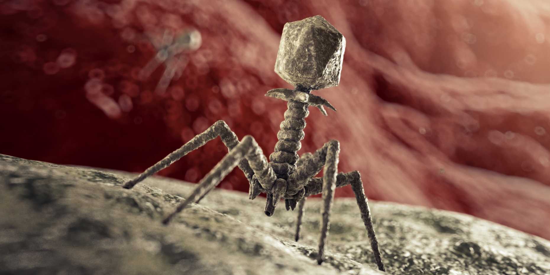 Illustration of bacteriophages