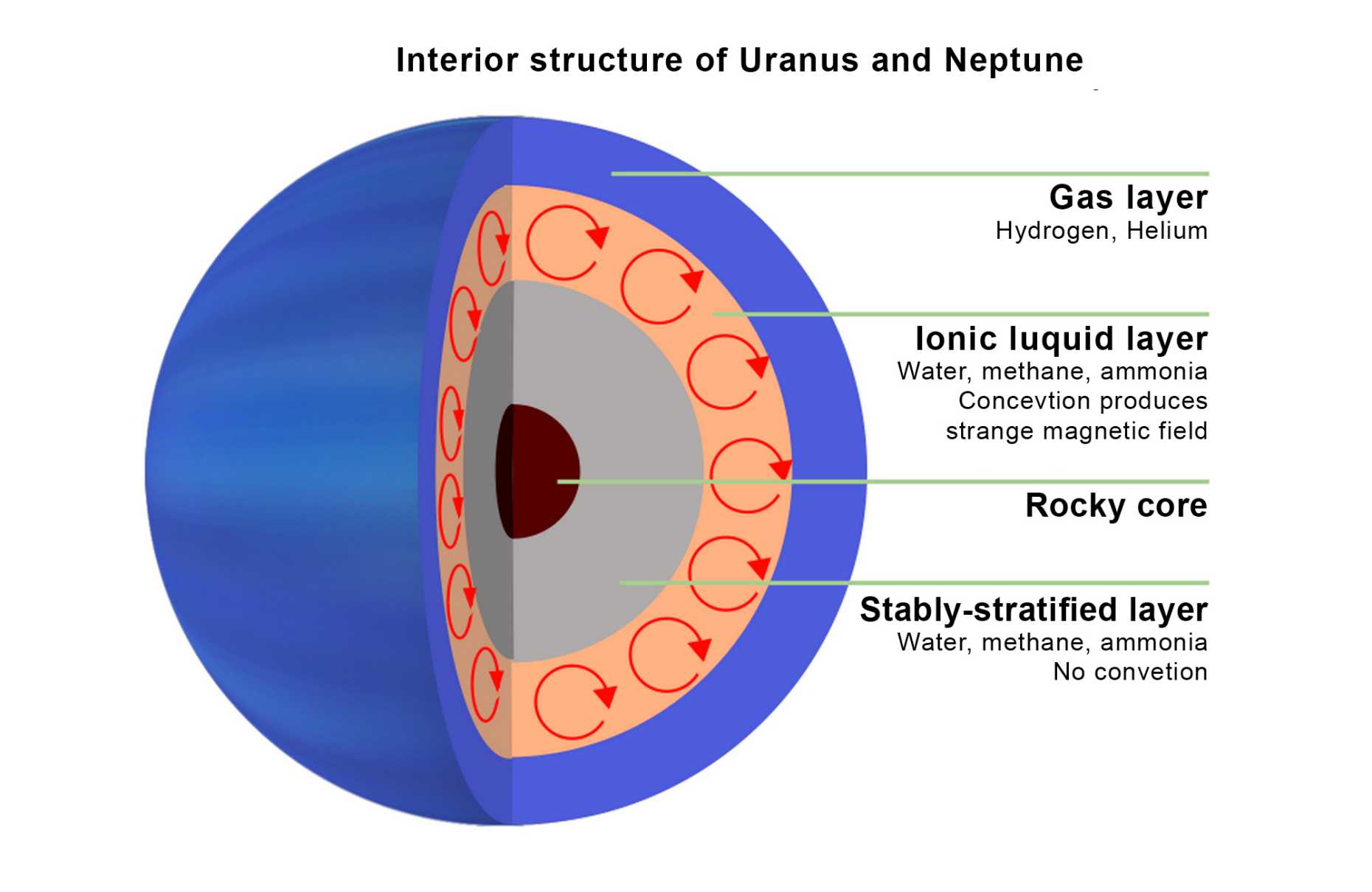 Inner structure of Neptune and Uranus