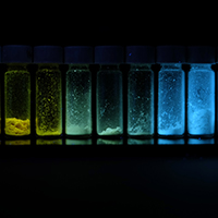 fluorescent polymers