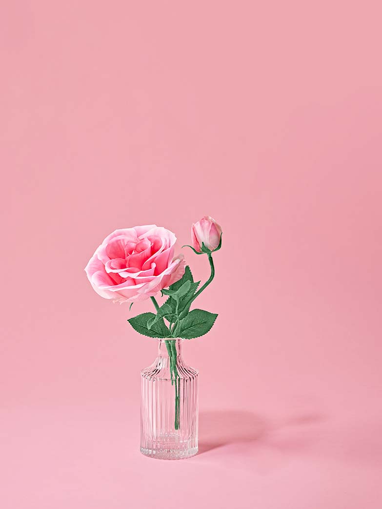 Rose in a transparent vase