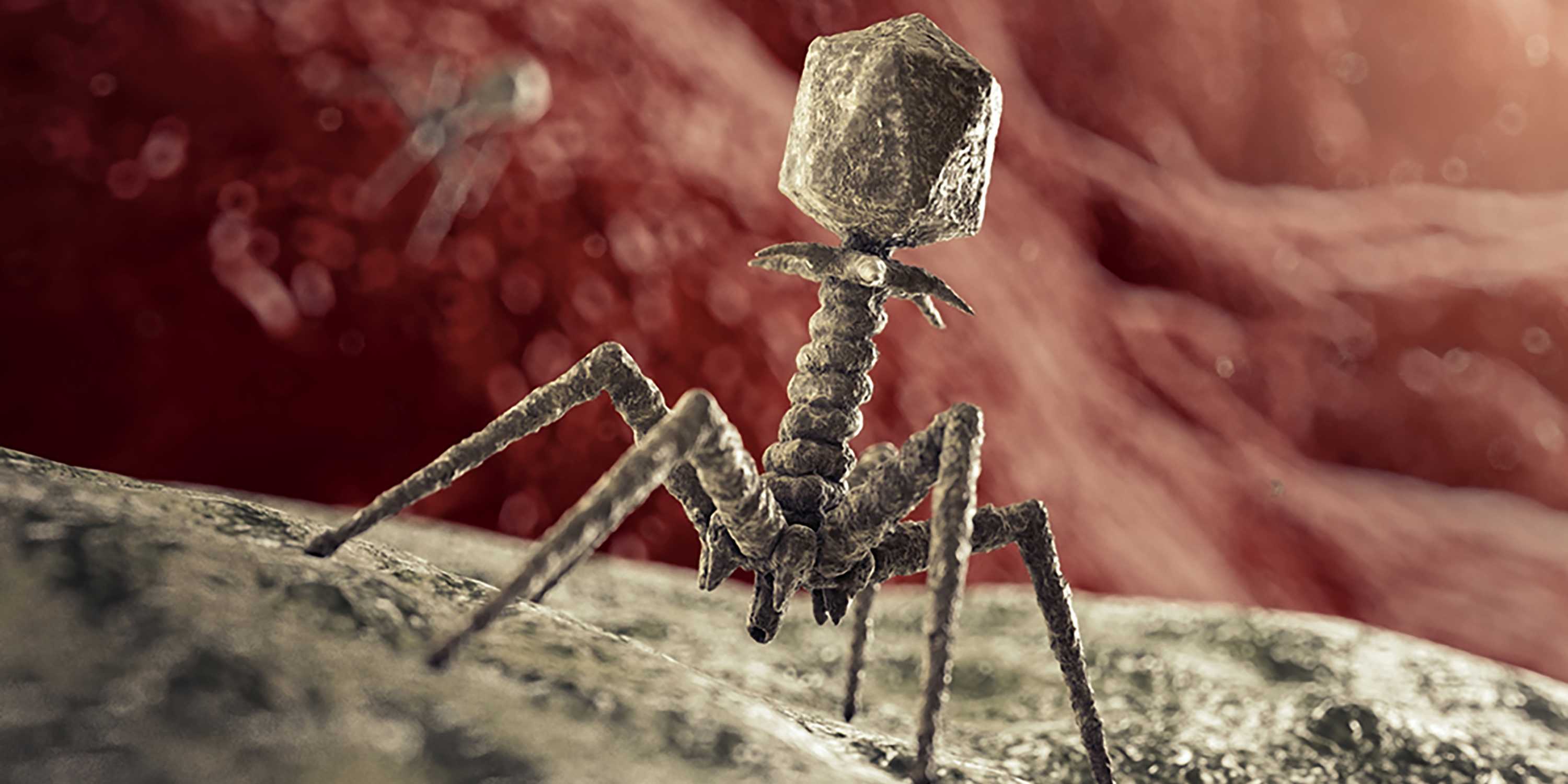 Animation of a bacteriophage