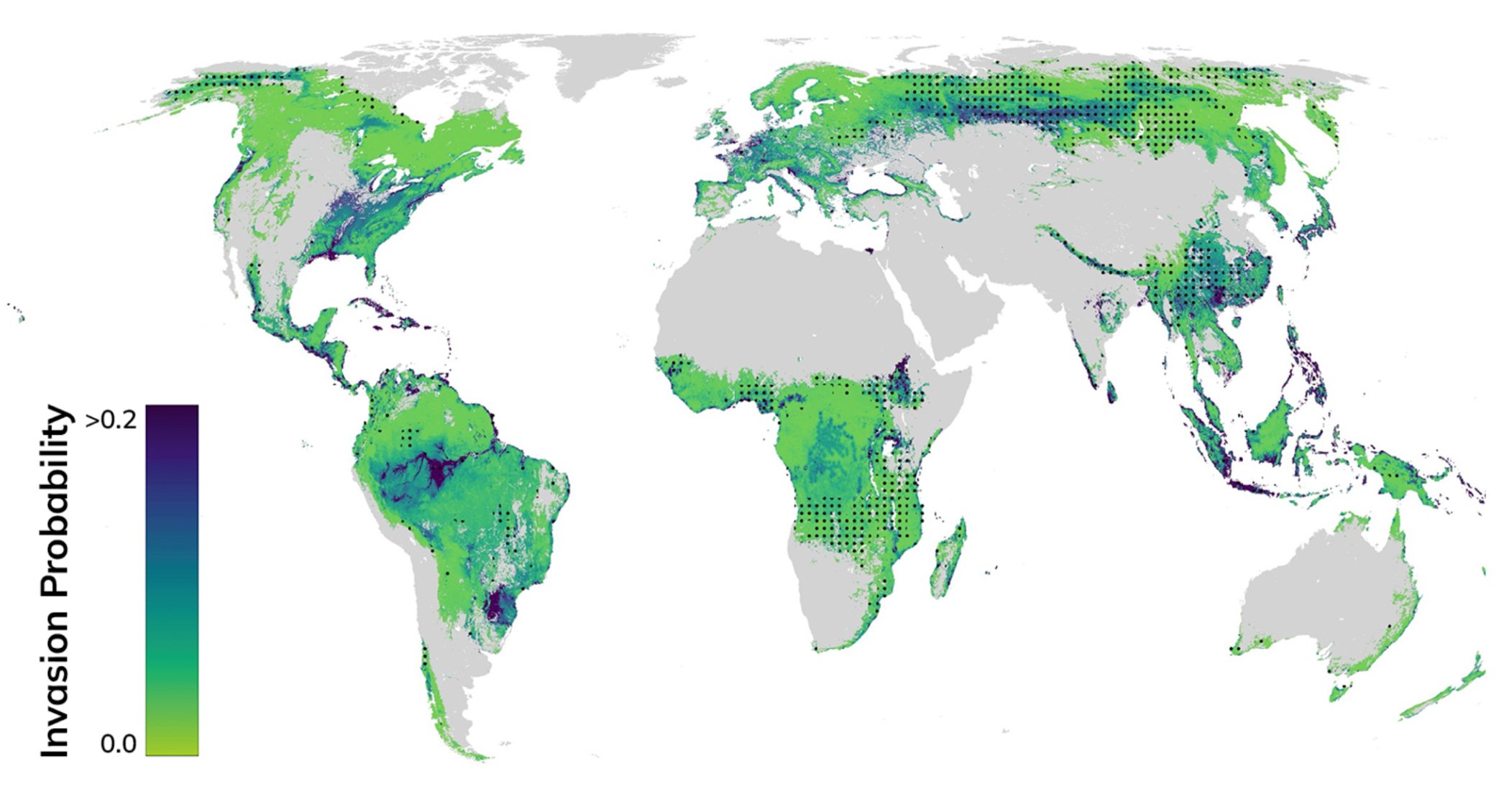 World map showing the probability of presence of non-native trees