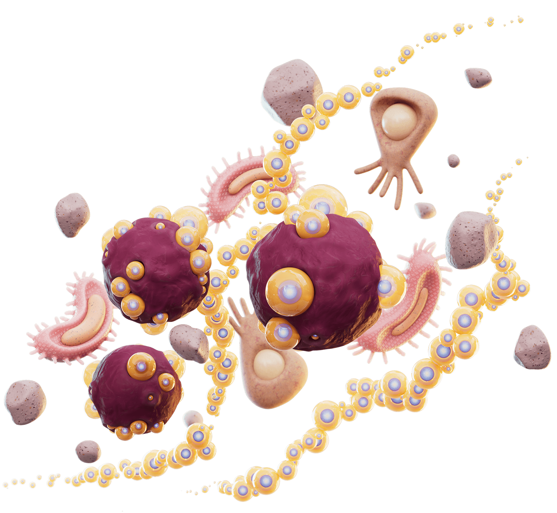 Illustration of cells