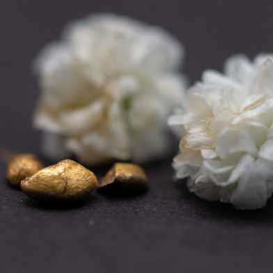 Gold nuggets in front of flowers