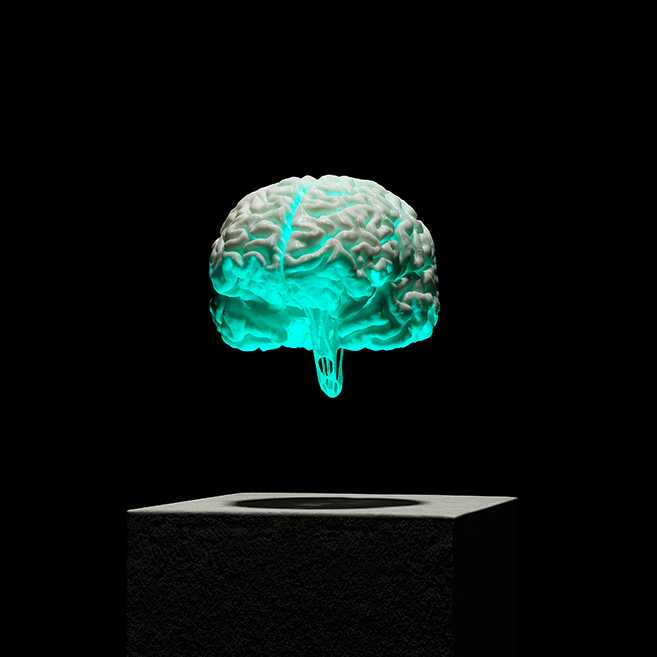 ETH 3D Brain 
