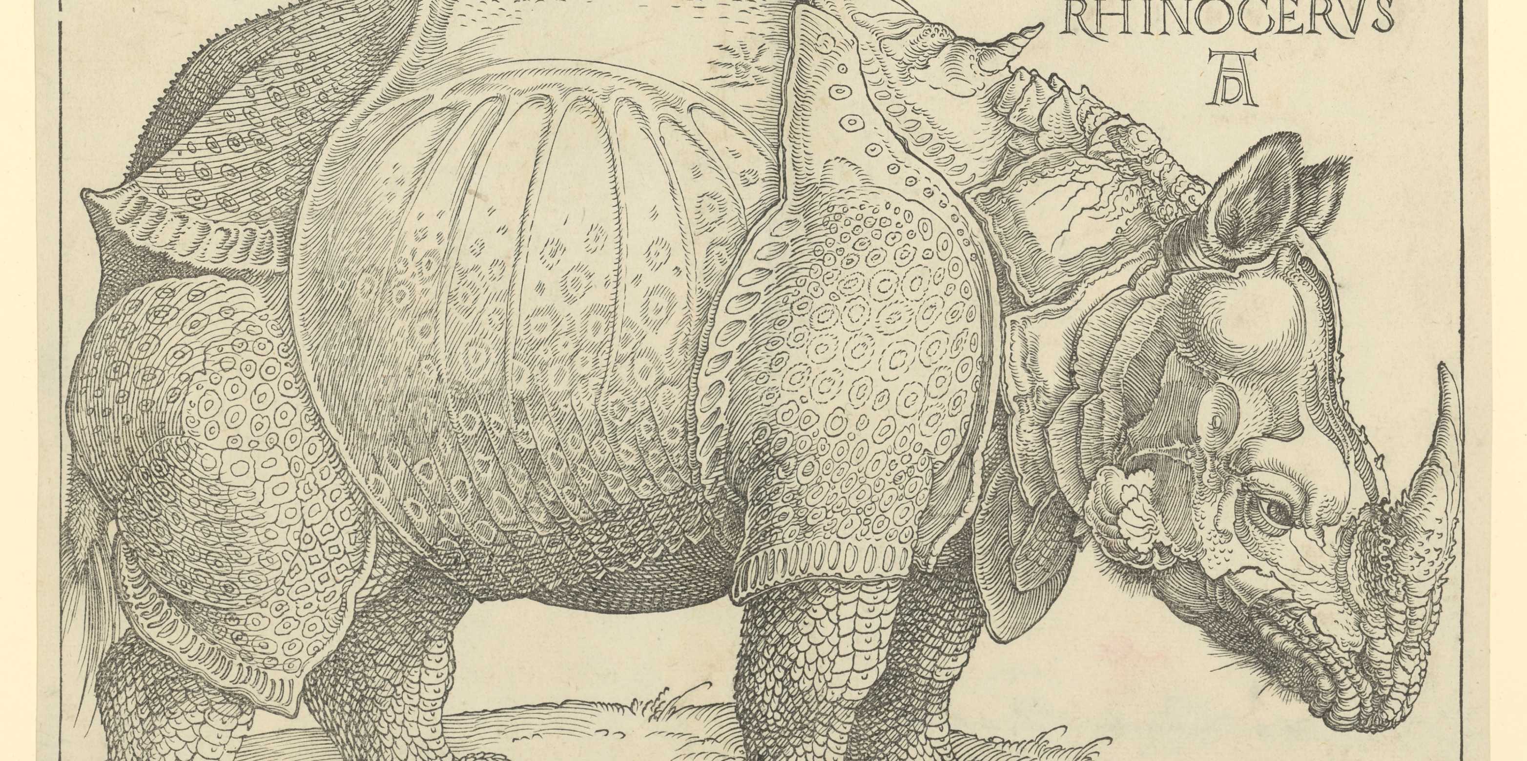 ALBRECHT DÜRER (1471–1528) Rhinocerus, 1515 Holzschnitt und Typendruck, 24,3 × 30,8 cm ETH-Bibliothek Zürich, Graphische Sammlung / D 13000 / Public Domain Mark 1.0