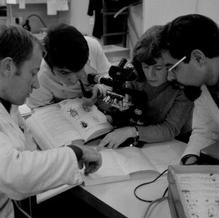 Enlarged view: Agronomy Students in 1971 (Source: ETH Archive)