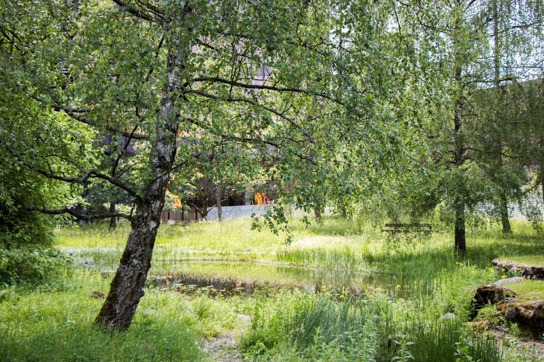 Enlarged view: Flora-Ruchat-Roncati Garten