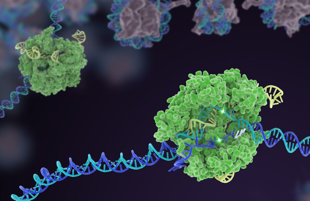 Illustration with CRISPR-Cas9 as a genome-engineering technology