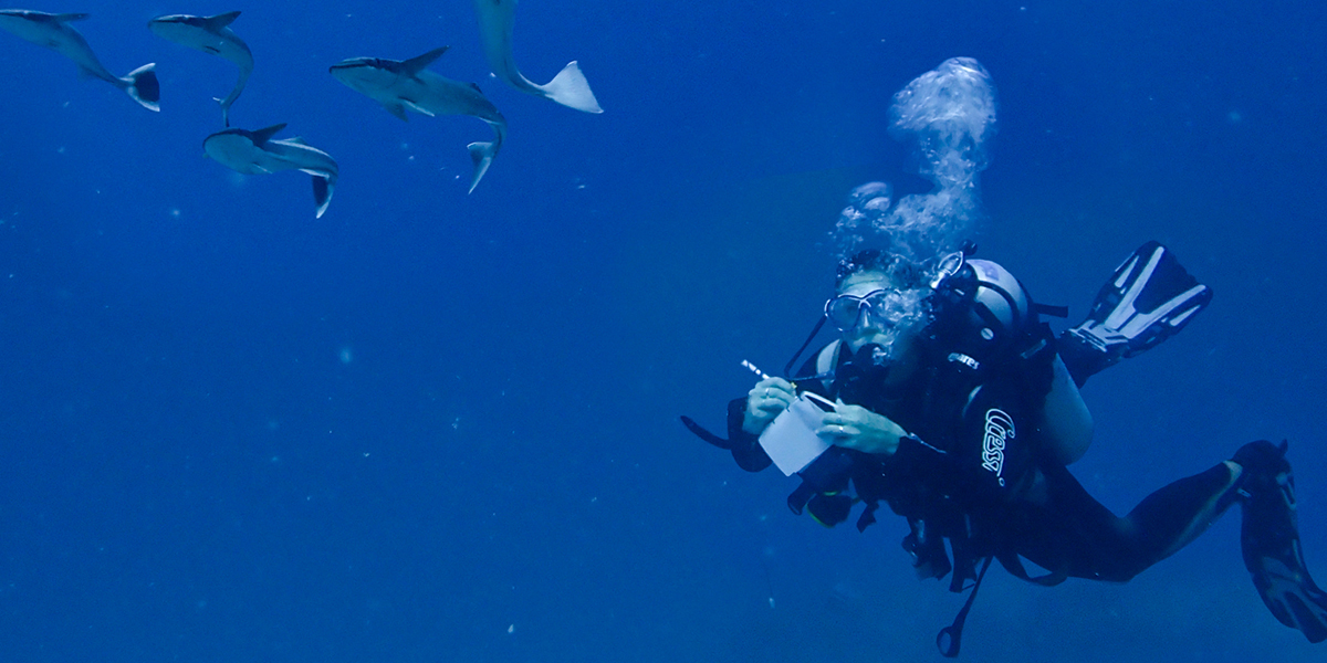 Marie Griesmar, Innvoator Fellow at ETH Library Lab in 2019, dives in the sea