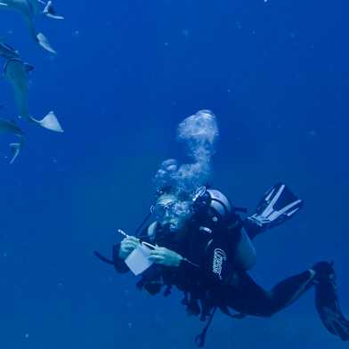 Marie Griesmar, Innovator Fellow at ETH Library Lab in 2019, dives in the sea